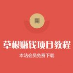 （1120期）【草根赚钱项目048】小米商战课：揭秘雷军核心打法【完结】