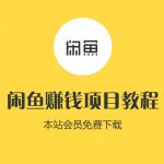 （1072期）【闲鱼赚钱项目021】转转矩阵月入五位数【完结】