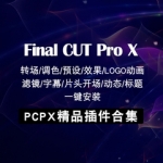 FCPX插件合集效果标题字幕转场降噪磨皮调色动画Final Cut Pro X