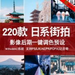 LR PS预设调色日系街拍旅拍生活实人像胶片PR FCPX 达芬奇 AE Lut