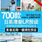 LR预设PR PS AE FCPX Lut预设日系清新文艺人像森系校园调色滤镜