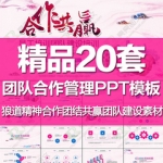 ppt模板团队建设管理合作共赢狼性精神狼道文化员工培训企业文化