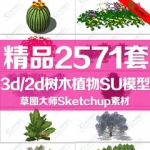 SU模型3D植物盆栽花草树木草丛sketchup园林景观装饰草图大师素材