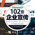 高端大气公司简介PPT模板企业文化介绍产品分析品牌推广宣传报告