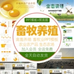 生态农场畜牧业PPT模板农业农产品禽畜养殖业海鲜龙虾牛猪肉美食