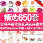 水墨水彩手绘花朵花卉植物png透明免扣图片ps设计师psd素材ps模板