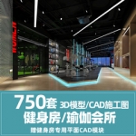 瑜伽馆会所健身房3d模型cad施工图体育器材3Dmax效果图设计素材